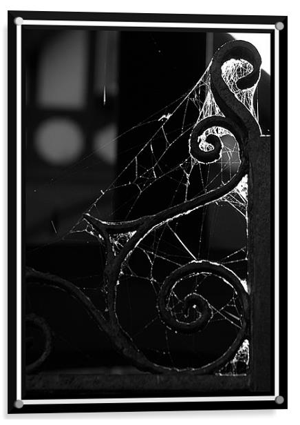 spirals and cobwebs Acrylic by Craig Coleran