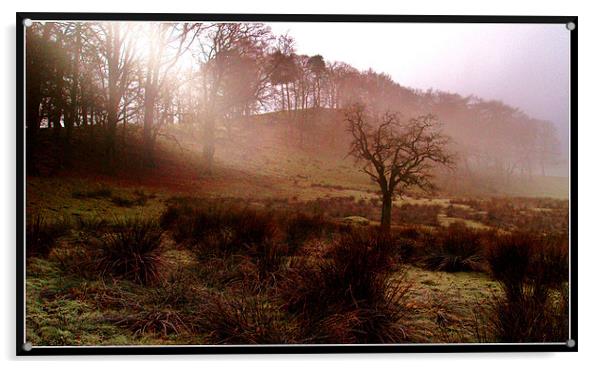 A misty morning Acrylic by Craig Coleran
