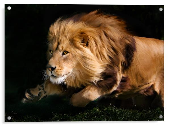 Raw Lion Power Acrylic by Julie Hoddinott