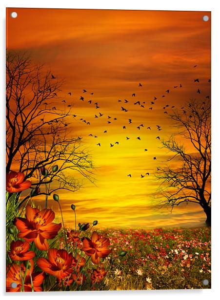 Orange Meadow Acrylic by Julie Hoddinott