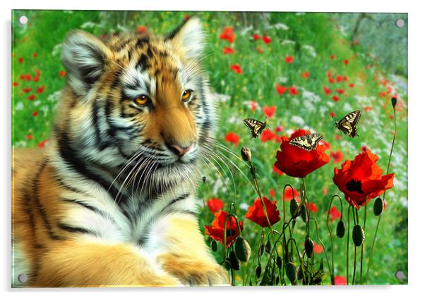 Tiger Butterflies Acrylic by Julie Hoddinott