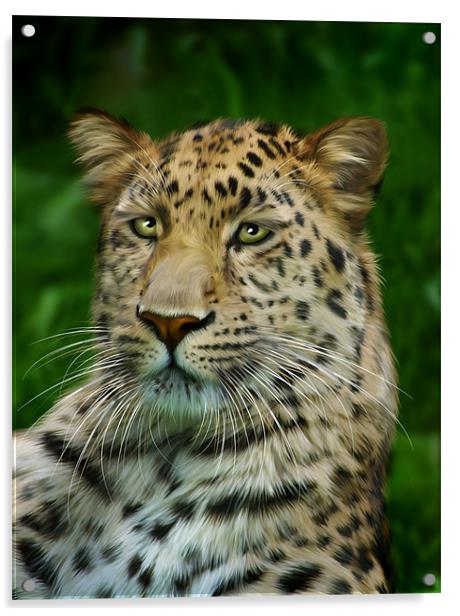 Amur Leopard Acrylic by Julie Hoddinott