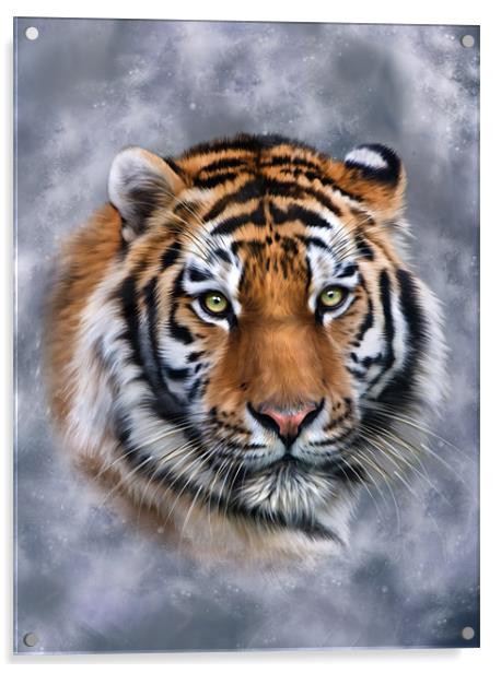 Sky Tiger Acrylic by Julie Hoddinott