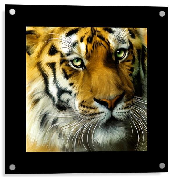 Sumatran Tiger Square portrait Acrylic by Julie Hoddinott