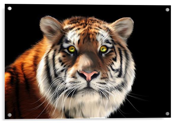Siberian Tiger Acrylic by Julie Hoddinott
