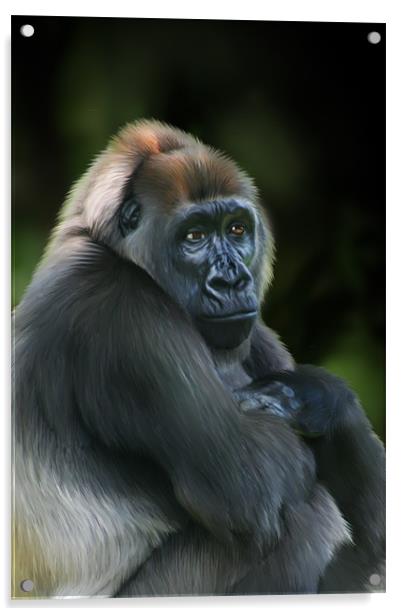 Nyango Cross River Gorilla Acrylic by Julie Hoddinott