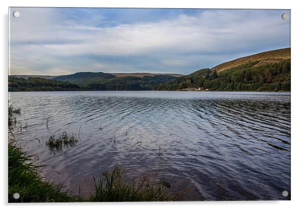 Pontsticill Reservoir Acrylic by Julie Hoddinott