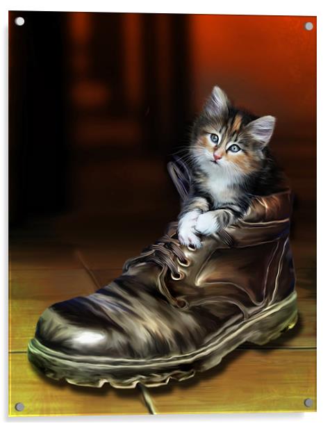Puss in Boot Acrylic by Julie Hoddinott