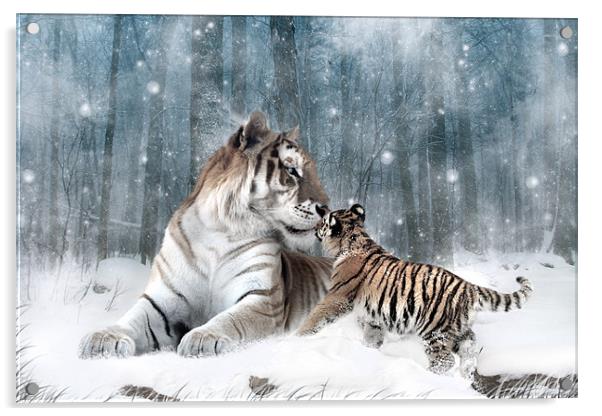 Kaiser Katrina and the Kiss Tiger Canvas Print Acrylic by Julie Hoddinott