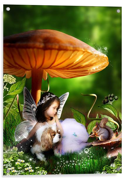 Toadstool Fairytale - Canvas Art Print Acrylic by Julie Hoddinott