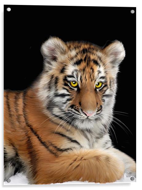 Amur Tiger Acrylic by Julie Hoddinott