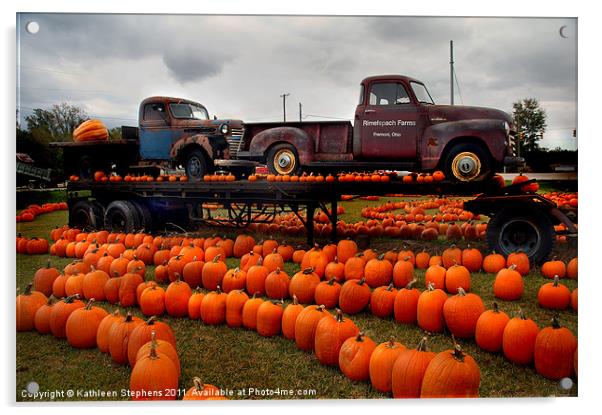 Pumpkin Rows Acrylic by Kathleen Stephens