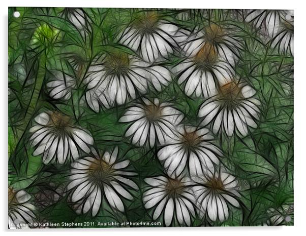 Coneflowers in White Acrylic by Kathleen Stephens