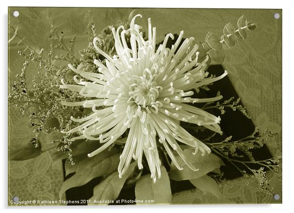 Spider Mum in Sepia Acrylic by Kathleen Stephens