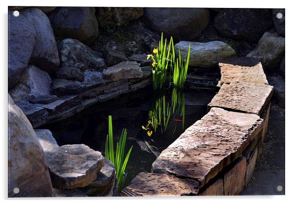  Pond Reflections Acrylic by Kathleen Stephens