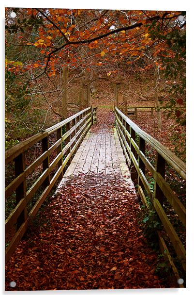 Woodland Bridge Autumn Acrylic by Keith Thorburn EFIAP/b