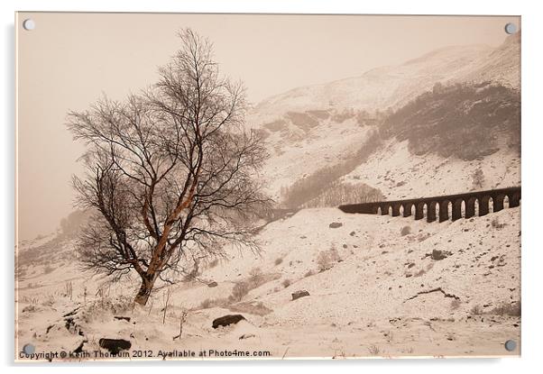 Winter Scene Acrylic by Keith Thorburn EFIAP/b