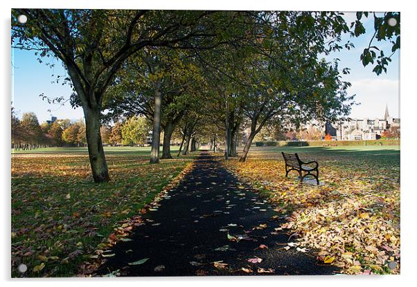 The Meadows Acrylic by Keith Thorburn EFIAP/b