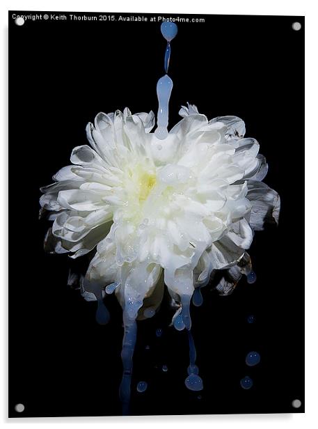 Flowers being watered Acrylic by Keith Thorburn EFIAP/b