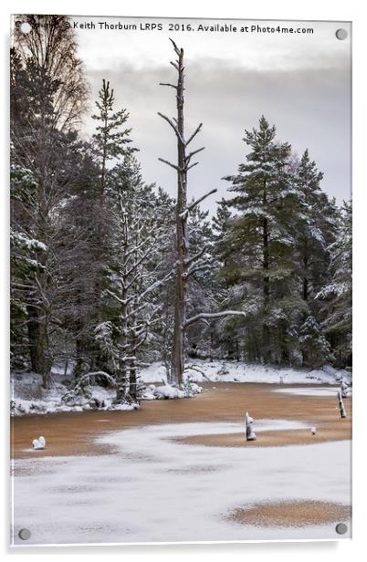 Boat of Garten Pond Acrylic by Keith Thorburn EFIAP/b