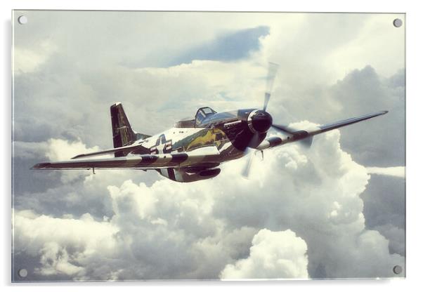 P-51 Mustang Quicksilver Acrylic by J Biggadike