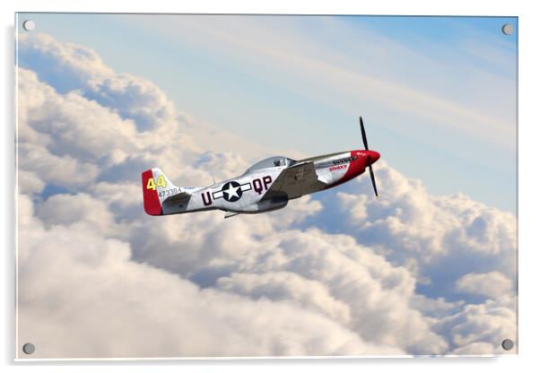 P-51 Mustang Sparky Acrylic by J Biggadike