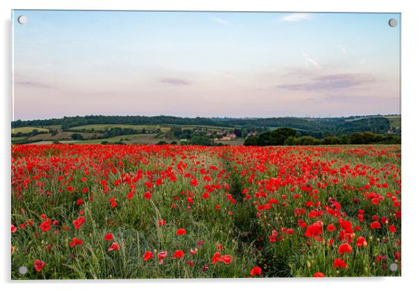 South Yorkshire Poppy Landscape Acrylic by J Biggadike