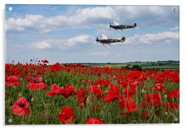 Spitfires and Poppies Acrylic by J Biggadike