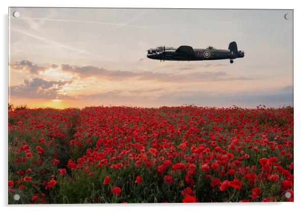 Lancaster Poppy Pass Acrylic by J Biggadike