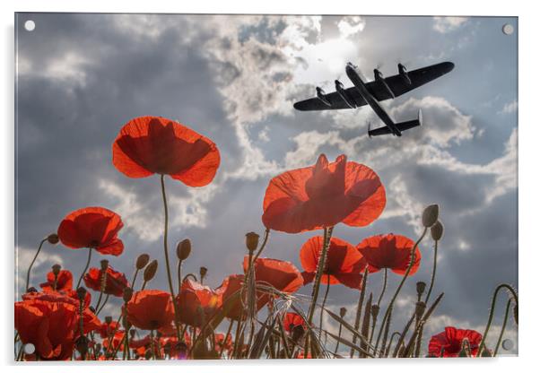 Lancaster Bomber Poppy Pass Acrylic by J Biggadike