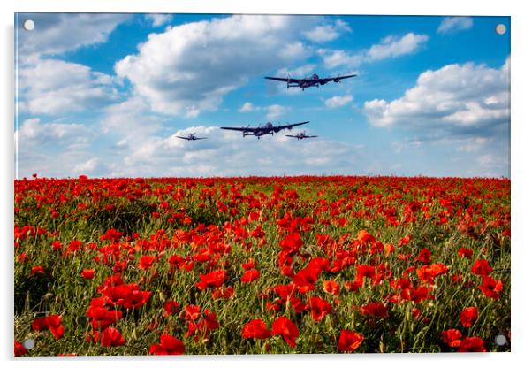Lancasters Poppy Fly Past Acrylic by J Biggadike