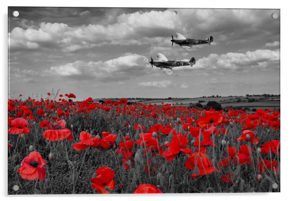 Spitfires and Poppies - Selective Version Acrylic by J Biggadike