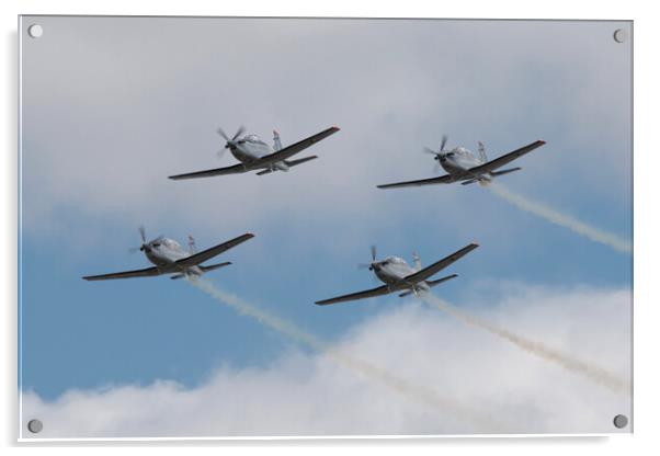 Irish Air Corps Silver Swallows Acrylic by J Biggadike