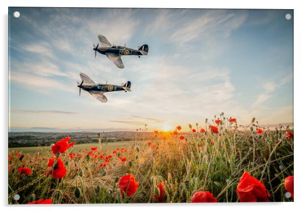 Spitfire and Hurricane Poppy Tribute Acrylic by J Biggadike