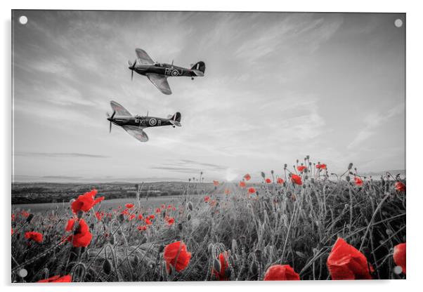 Spitfire and Hurricane Poppy Tribute Acrylic by J Biggadike