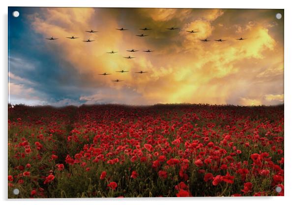 Sunset Poppies Spitfires Acrylic by J Biggadike