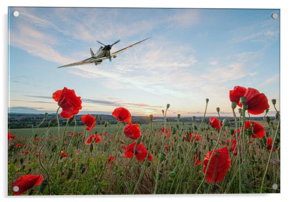 War Plane Poppy Pass Acrylic by J Biggadike