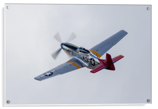 P51 Mustang Tall In The Saddle Acrylic by J Biggadike