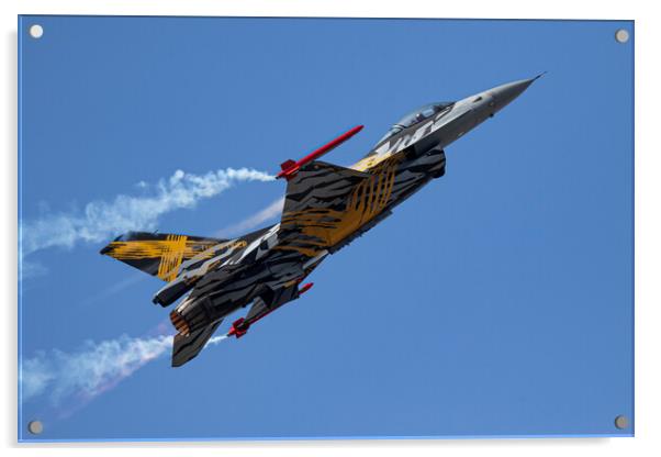 Belgian F16 Fighting Falcon Acrylic by J Biggadike