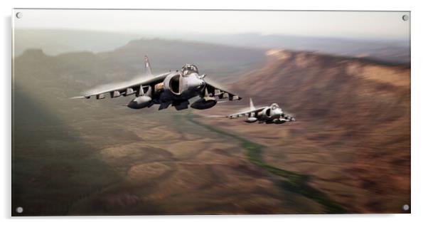 The Mighty Harrier Acrylic by J Biggadike