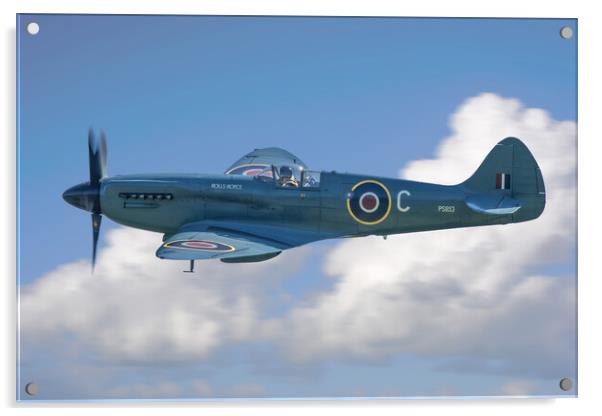 Supermarine Spitfire PR Mk XIX Acrylic by J Biggadike