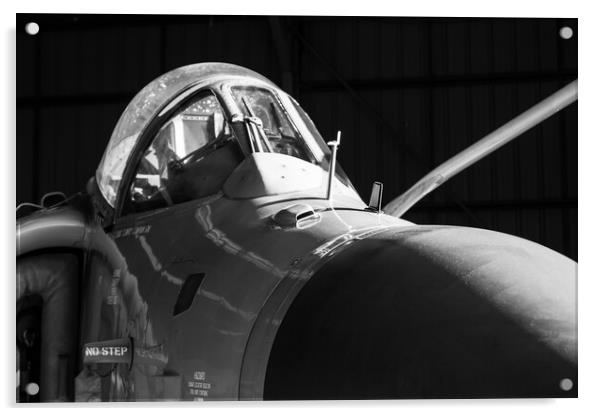 Sea Harrier ZD582 002 Acrylic by J Biggadike