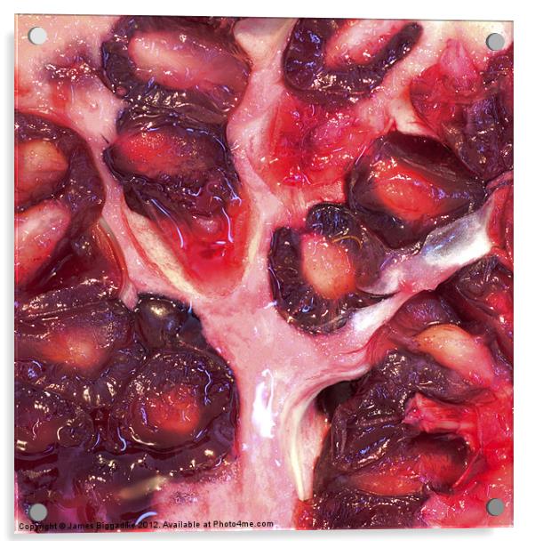 Pomegranate Tree Acrylic by J Biggadike