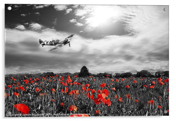 Spitfire Poppy Pass Acrylic by J Biggadike