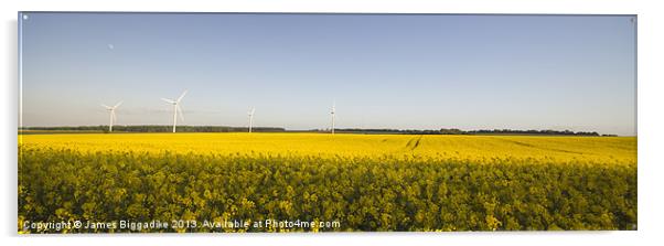 Yellow Fields Acrylic by J Biggadike