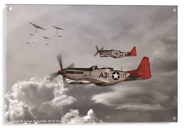 Tuskegee Airmen Acrylic by J Biggadike