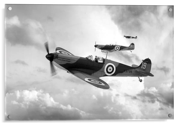 Supermarine Spitfire Mk I BW Acrylic by J Biggadike