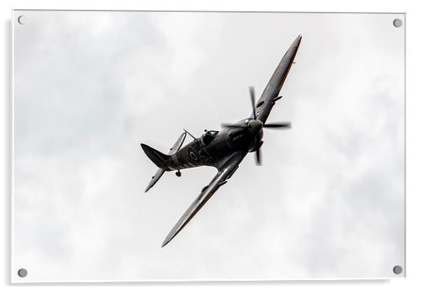 Spitfire Mk LFIXe Acrylic by J Biggadike