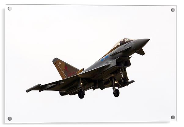 6 Squadron Typhoon Acrylic by J Biggadike