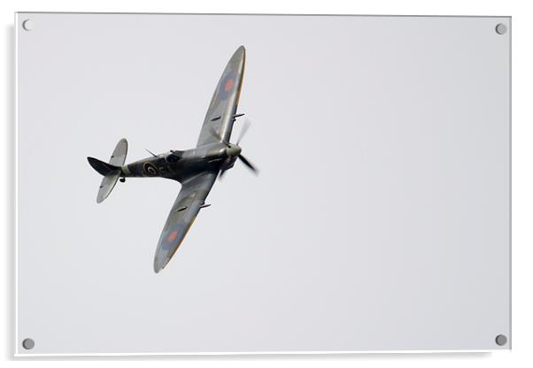 Spitfire Mk LFIXe  Acrylic by J Biggadike